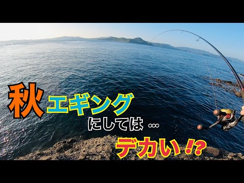 リベンジを果たす秋イカエギング釣行