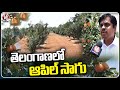 Apple Farming In Kandukur, Telangana | V6 News