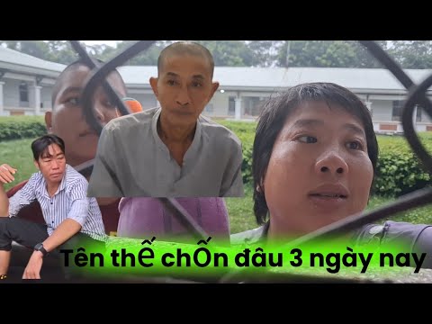 Chi khờ bữa nay ổn hơn nhiều mừng cho chi, còn thằng thế thì không thấy đâu 