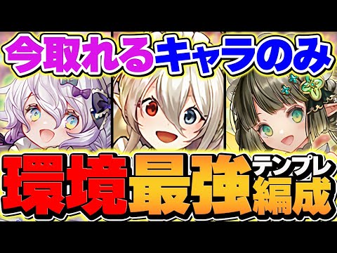 【全員組める最強編成】メイドイデアルのテンプレ編成で契約チャレンジ攻略！代用&立ち回り解説！【パズドラ】