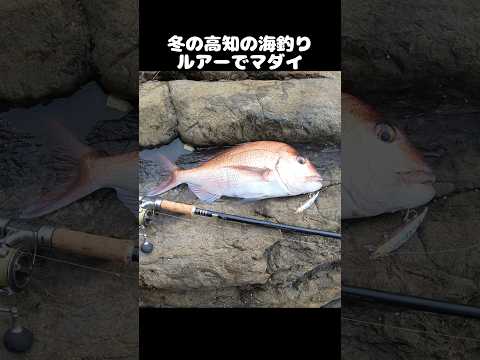 thumbnail_080L2ECfWFA