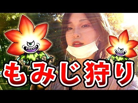 【DQウォーク】もみじこぞう狩り行ってきた！！【ドラゴンクエストウォーク】【ドラクエウォーク】