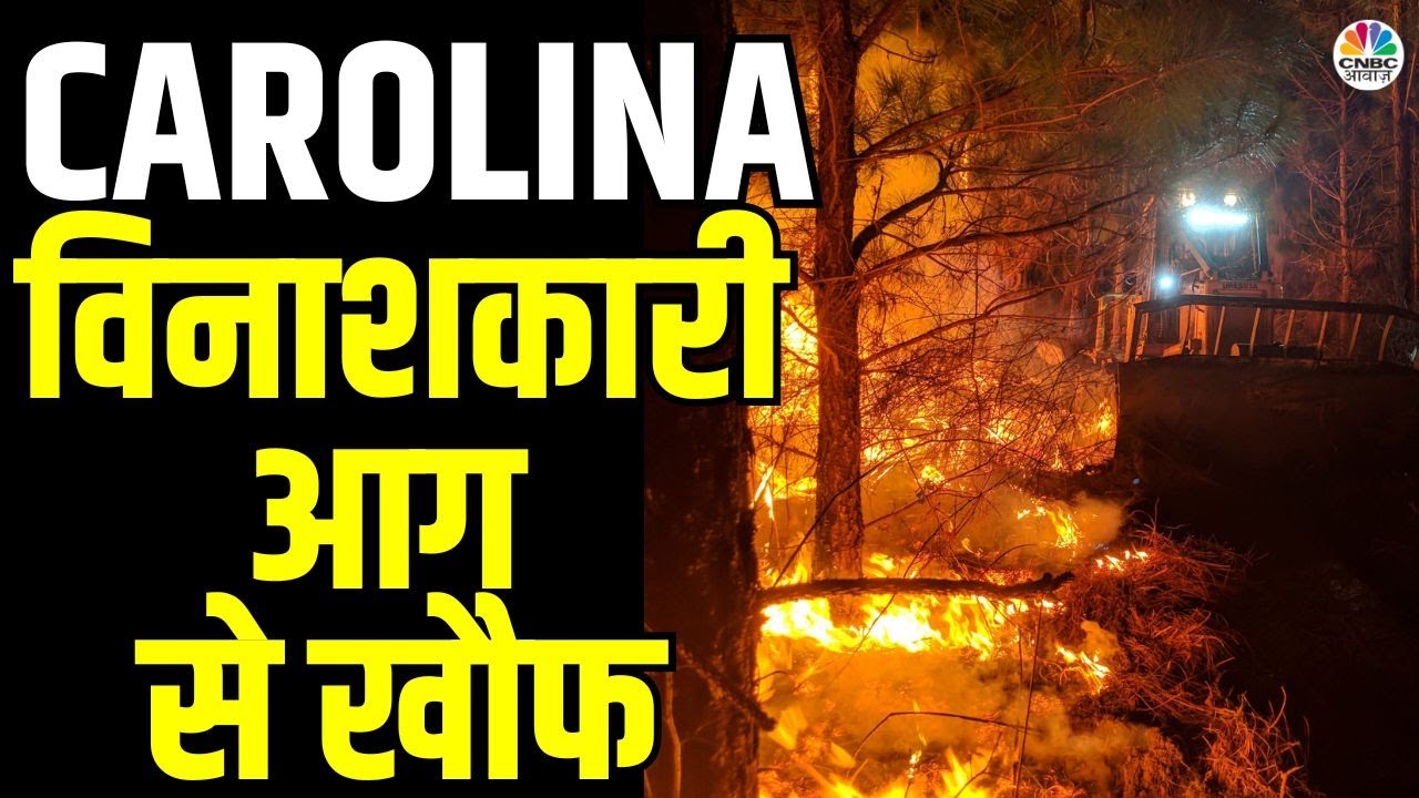 Carolina Wildlife Fire Latest Video: विनाशकारी आग से चारों ओर सब जलकर खाक, आग का खौफनाक वीडियो|N18G