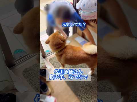 佐川急便さん 良い子、なでなで