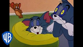 Tom a Jerry - Domov