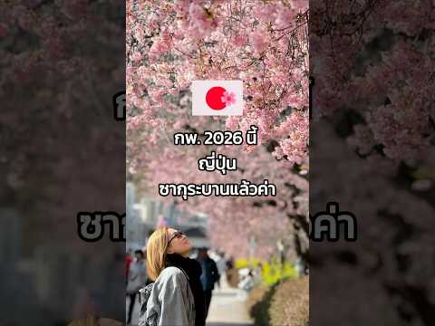 ญี่ปุ่นซากุระบานแล้ว ที่เมือง Kawazu #kwangpattra #เที่ยวญี่ปุ่น #เที่ยวญี่ปุ่นด้วยตัวเอง #ซากุระ
