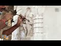 Devotees to Get Wonderful Glimpse of Sanatan Dharma on Pillars of Ram Temple in Ayodhya | News9  - 01:12 min - News - Video