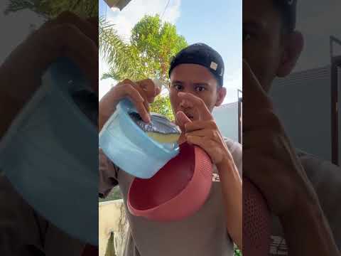 Tempat Sabun Cuci Piring Praktis Murah #tempatsabuncucipiring #tempatsabuncucipiringmurah