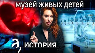 Личное: Зачем создали музей живых детей? // История. А поговорить?…