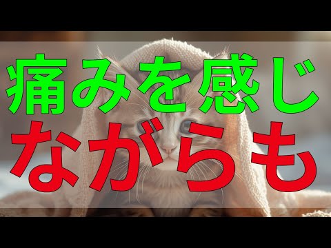 テレフォン人生相談 痛みを感じながらも愛し合いたい、葛藤と心の叫び。