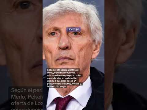 JOSÉ PEKERMÁN NO SEÁ DT DE LA SELECCIÓN PERUANA😰🇵🇪 ¿qué opinas? #seleccionperuana #josepekerman