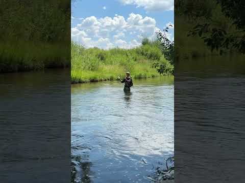 no bites today #bassfishing #fishing #fish #funny #flyfishing