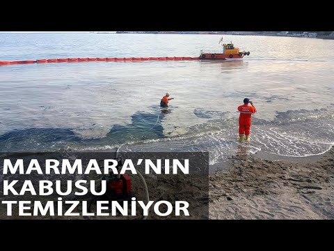 Tekirdağ Sahillerinde ‘Müsilaj’ Temizliği Sürüyor