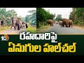 Elephants Hulchul in Parvathipuram Manyam District | పార్వతీపురం మన్యం జిల్లాలోఏనుగుల హల్చల్ | 10TV