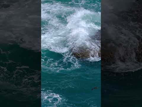 Kalendarium morskie: 17 listopada 1968