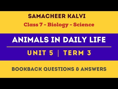Animals in daily life Book Back Questions & Answers | Unit 5  | Class 7 | Science | Samacheer Kalvi