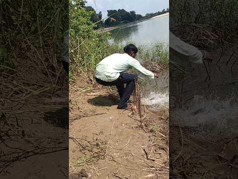 #fishing #fish #shorts #short #uk #river