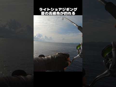 thumbnail_0ATS94Intmo
