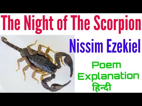 The Night of the scorpion poem explanation hindi |nissim Ezekiel| rpsc 1st grade| literary help