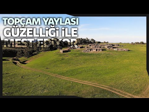 Topçam Yaylası Doğal Güzellikleri ile Görenleri Hayran Bırakıyor