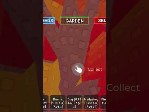 Mango #roblox #shorts #mango #tree #trending #growagardenroblox #growagarden #hashtag #happy #edit