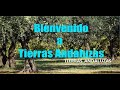 Tierras Andaluzas v1.0.0.0