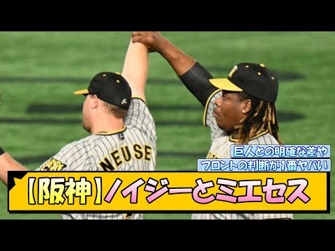 【阪神】ノイジーとミエセス【なんJ/2ch/5ch/ネット 反応 まとめ/阪神タイガース/岡田監督】