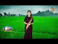 Paddy Cultivation | ప్రస్తుతం వరిలో ఆశించే పురుగుల నివారణ | Matti Manishi | 10TV News  - 08:49 min - News - Video