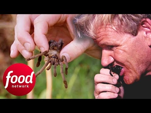 Gordon Ramsay Tries To Eat A Fried Spider In Cambodia | Gordon's Great Escapes