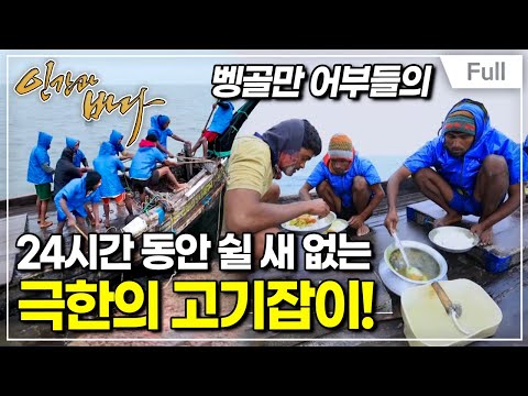 [Full] 인간과 바다 - 극한직업, 벵골만의 어부들