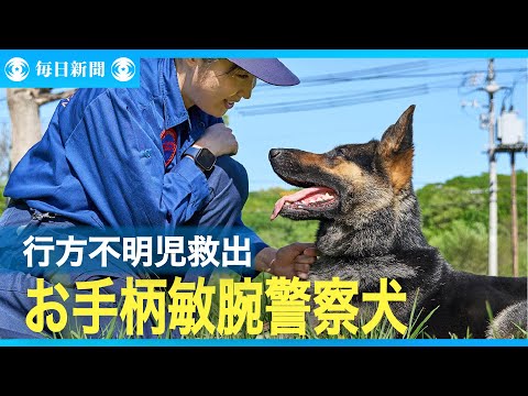 札幌の行方不明4歳児　探し出したのは「お手柄連発」の敏腕警察犬