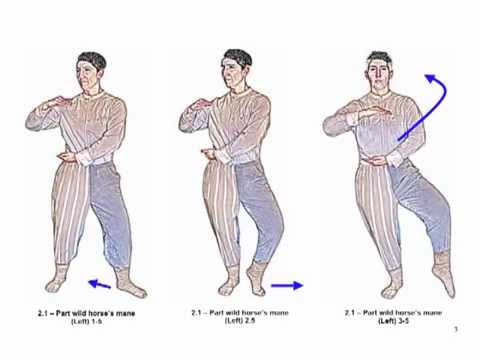 Dissertation thesis tai chi