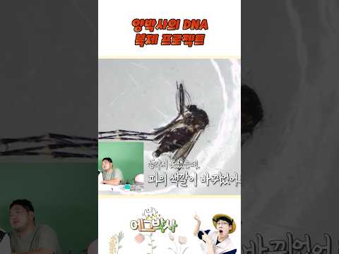 <strong>모기</strong> 연구 프로젝트
