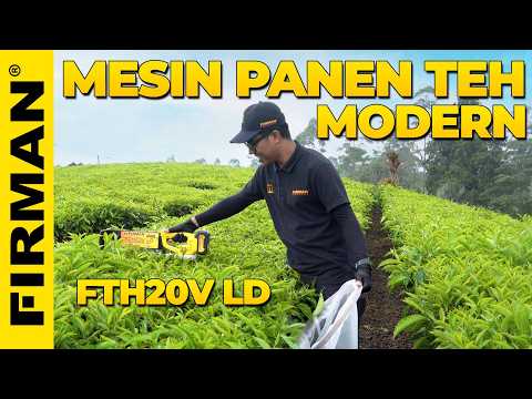 MESIN PANEN TEH MODERN FIRMAN FTH20V LD
