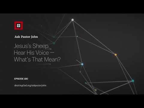 Jesus’s Sheep Hear His Voice — What’s That Mean? // Ask Pastor John