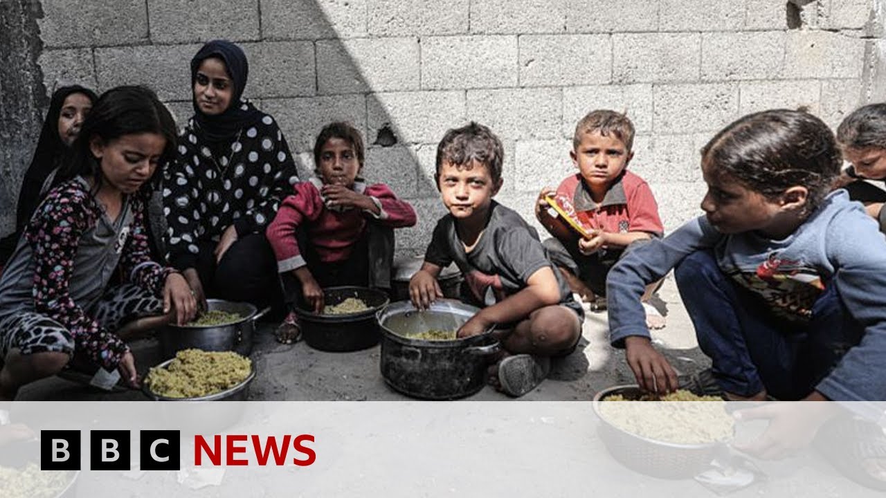 Gaza experiencing health ‘catastrophe’ that will last generations, says WHO | BBC News