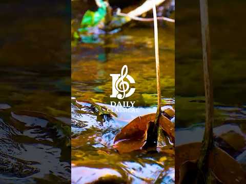 1 Minute Relaxation — Calm Piano and Gentle Soul