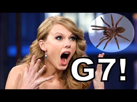 Singers Getting Scared and Hitting Highest Notes!