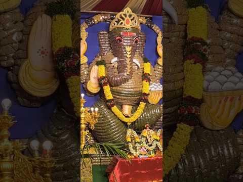 Nava Dhanya Ganesh #ganesh #ganeshchaturthi #grains #trending #shorts