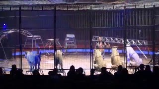Cirque Pinder au "Grand Chapiteau", Paris 2015-2016