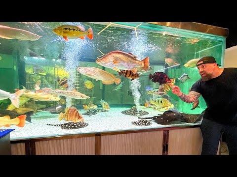 “THIS MONSTER Fish STORE in CHINA Has EVERYTHING We found the ultimate monster fish store in China, packed with exotic fish you rarely see anywhere e
