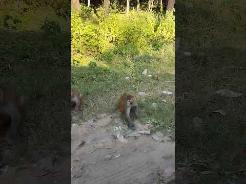 Always something in my 🚗 to give them .? who #seethereel#get#inspiration#love#like#share