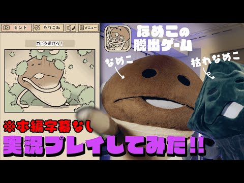 【んふんふ】