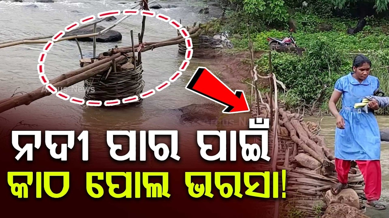 No Roads, No Bridges! The Pathetic Life Of Villagers In Remote Malkangiri | Argus News