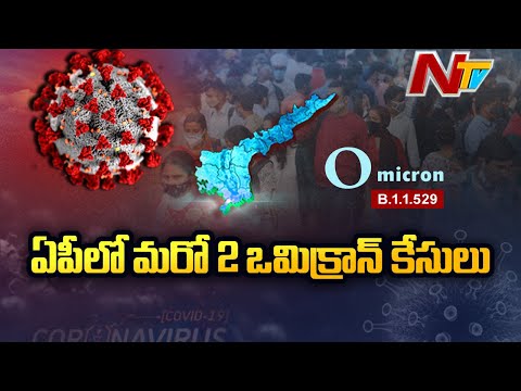 Two more Omicron cases reported in Andhra Pradesh