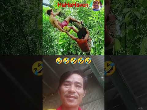 burst out laughing🤣