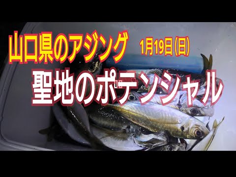 【アジ釣り】山口県西部の聖地のポテンシャル