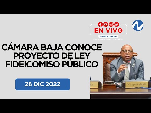 Cámara de Diputados conoce proyecto de Ley de Fideicomiso Público