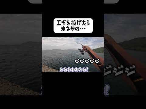 エギを投げたら着水と同時に…＃離島＃エギング＃釣り