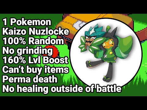 The Hardest Pokemon Challenge! Pokemon Emerald Kaizo Ironmon